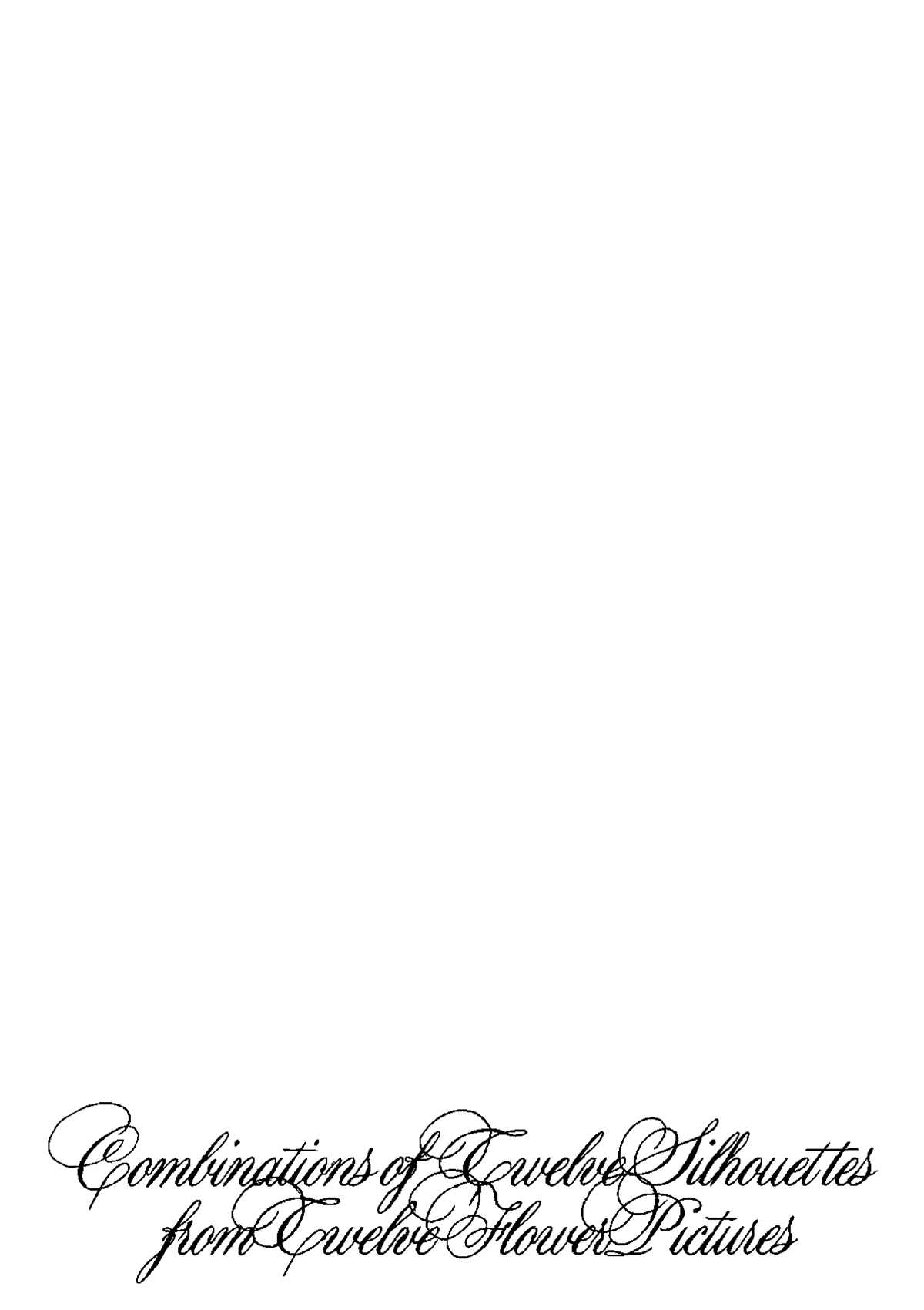 Combinations of Twelve Silhouettes from Twelve Flower Pictures